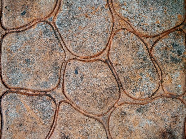 Textured Concrete Installation in Longmont