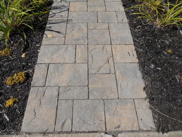 Stamped Concrete Staining in Longmont